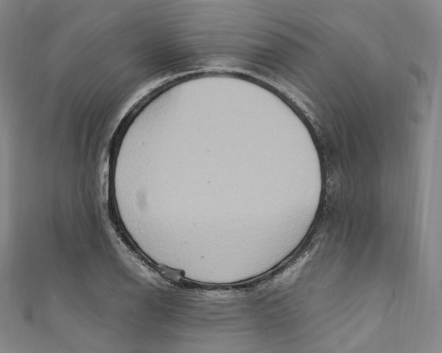 X0000111211126200907221145