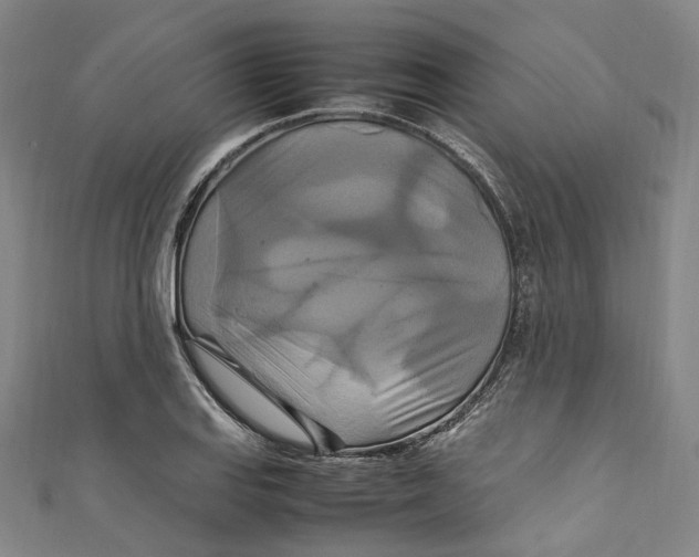 X0000111211127200907221145