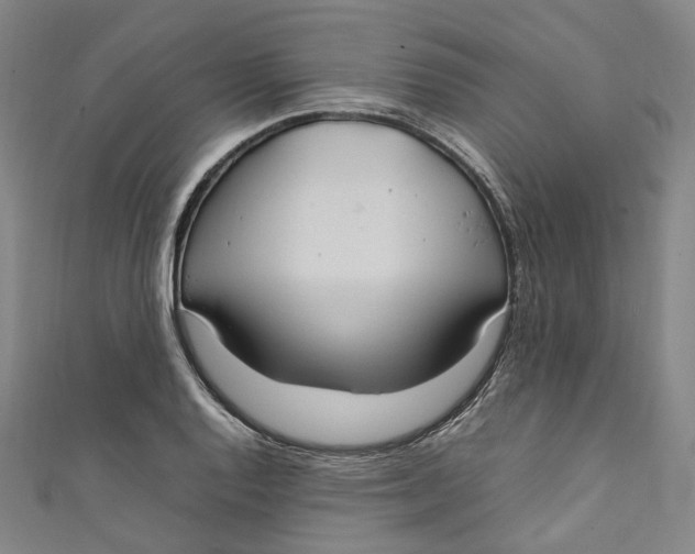 X0000111211128200907221145