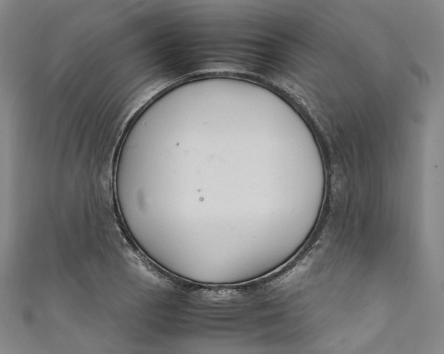 X0000111211129200907221145