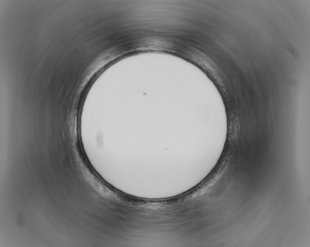 X0000111211130200907221145