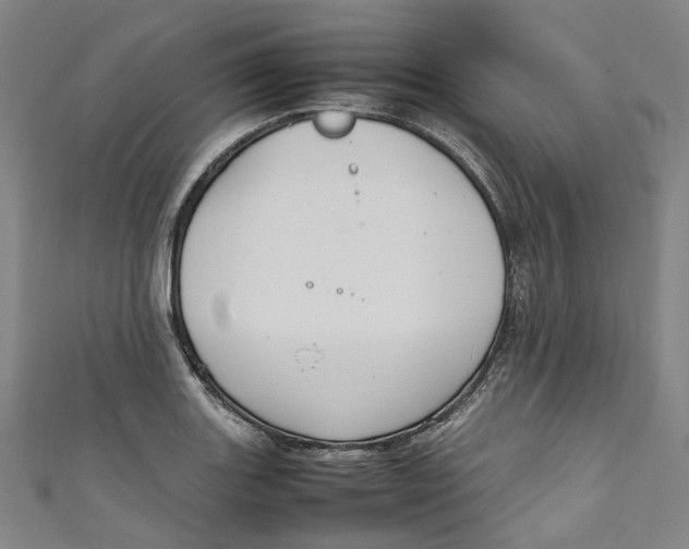 X0000111211131200907221145