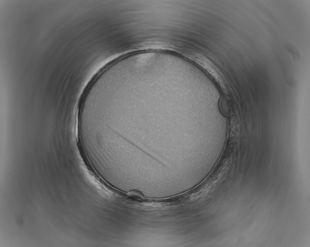 X0000111211132200907221145