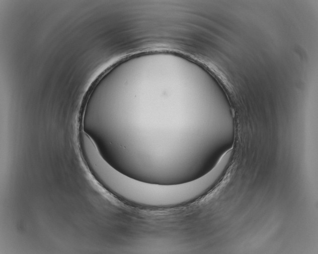 X0000111211134200907221145