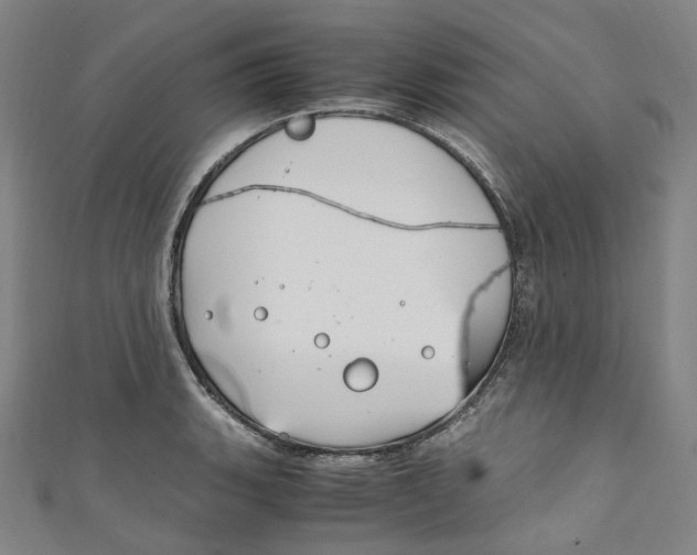 X0000111211135200907221145