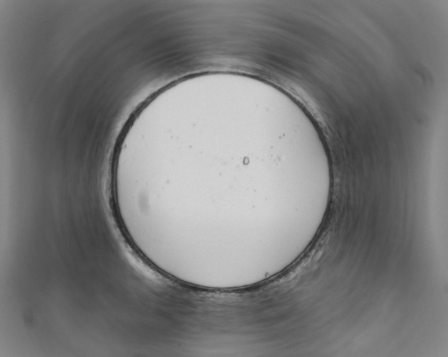 X0000111211136200907221145