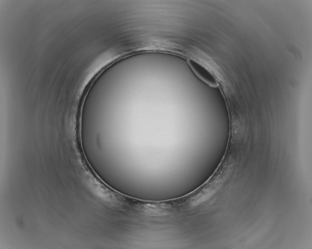 X0000111211138200907221145