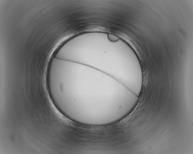 X0000111211139200907221145