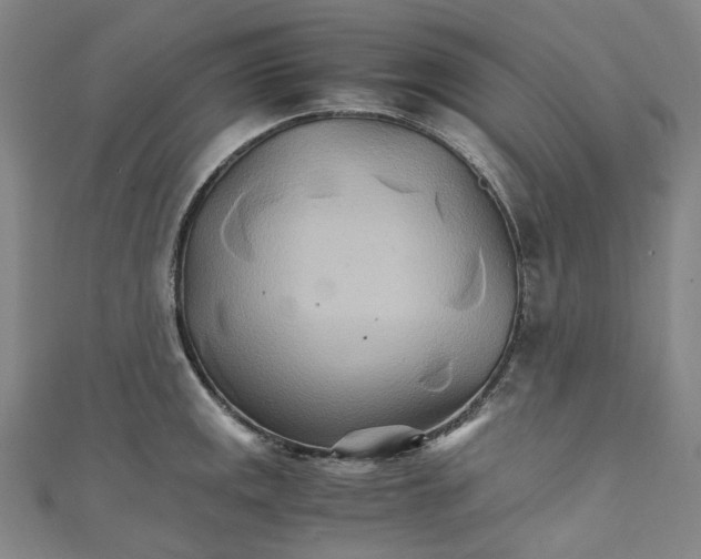 X0000111211141200907221145