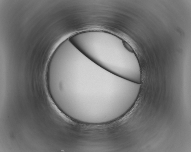 X0000111211142200907221145