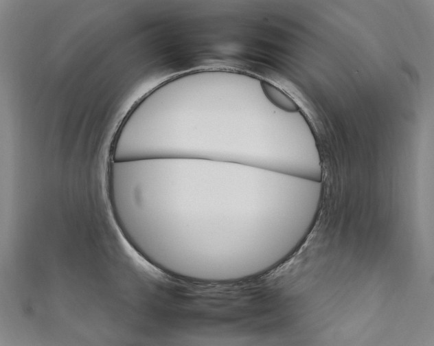 X0000111211143200907221145