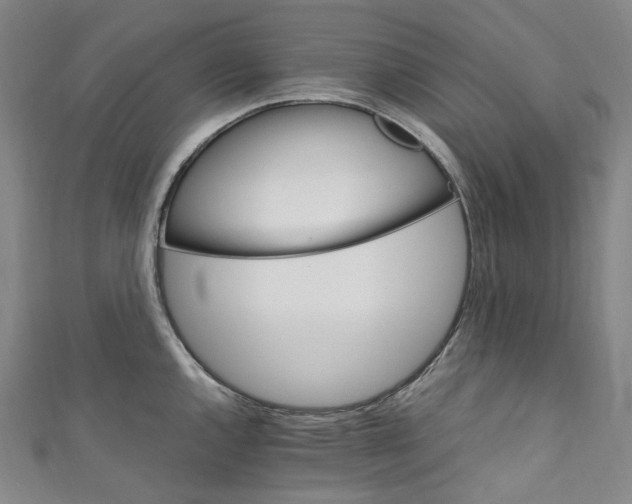 X0000111211144200907221145