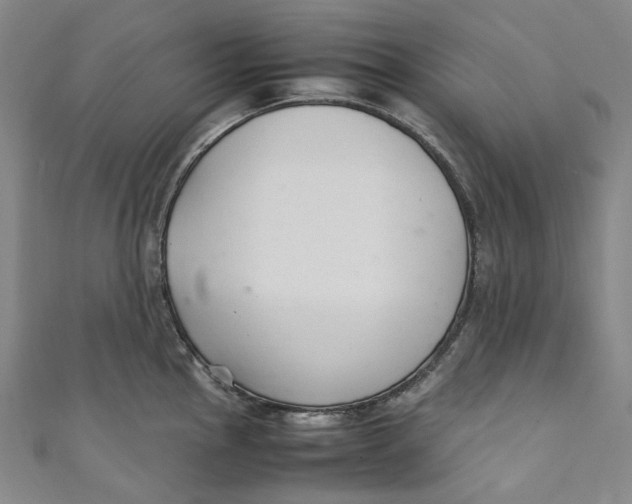 X0000111211145200907221145