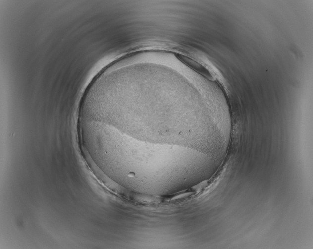 X0000111211146200907221145