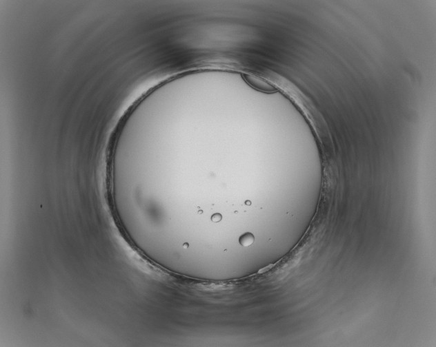 X0000111211147200907221145