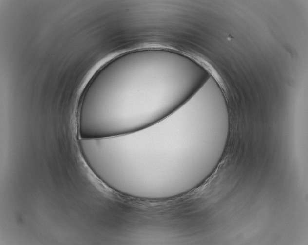 X0000111211148200907221145