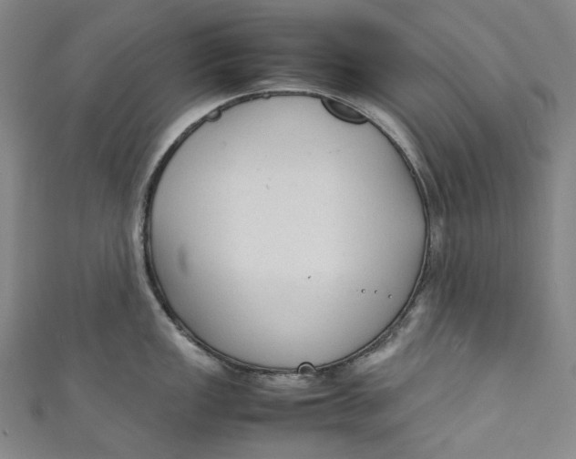 X0000111211149200907221145