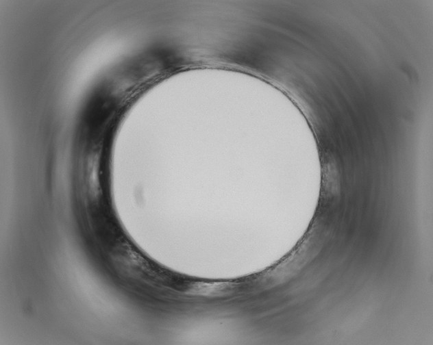 X0000111211150200907221145