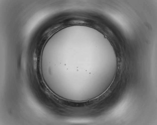 X0000111211151200907221145