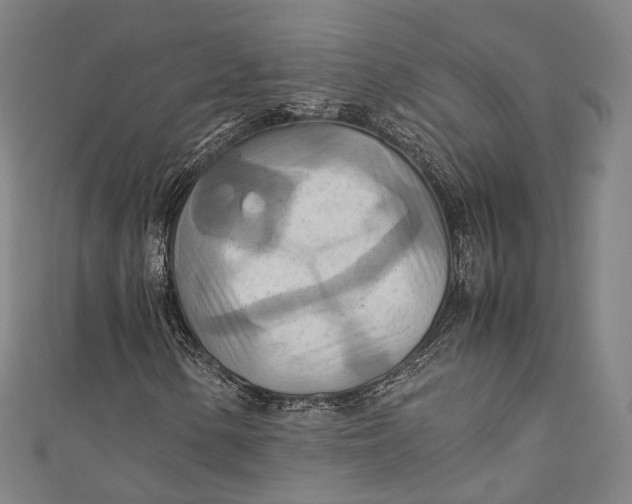 X0000111211154200907221145