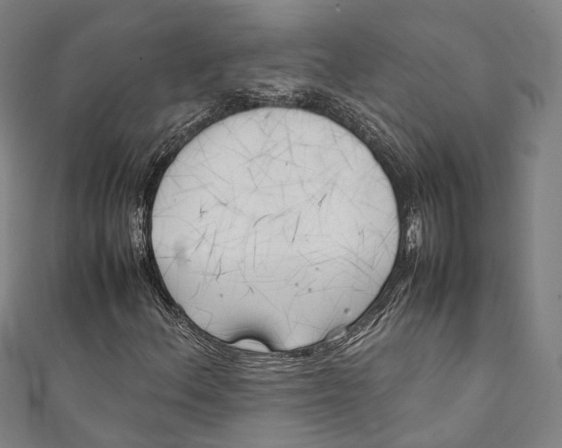 X0000111211156200907221145