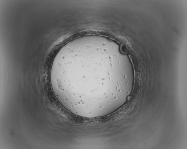 X0000111211159200907221145