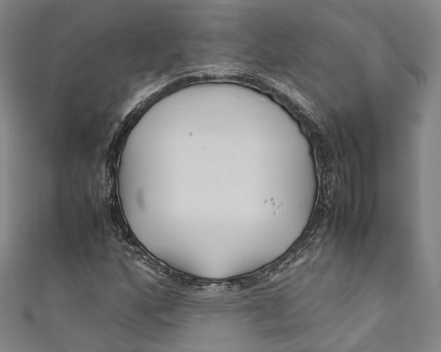 X0000111211160200907221145