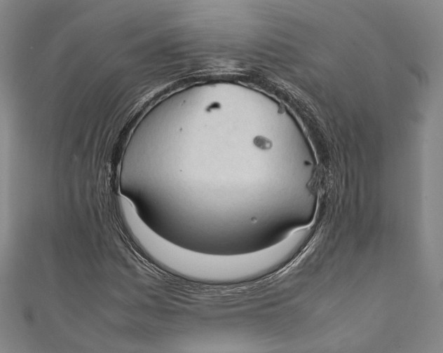 X0000111211161200907221145