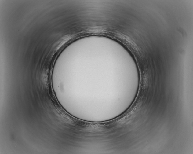 X0000111211162200907221145