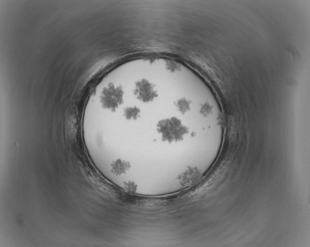 X0000111211163200907221145