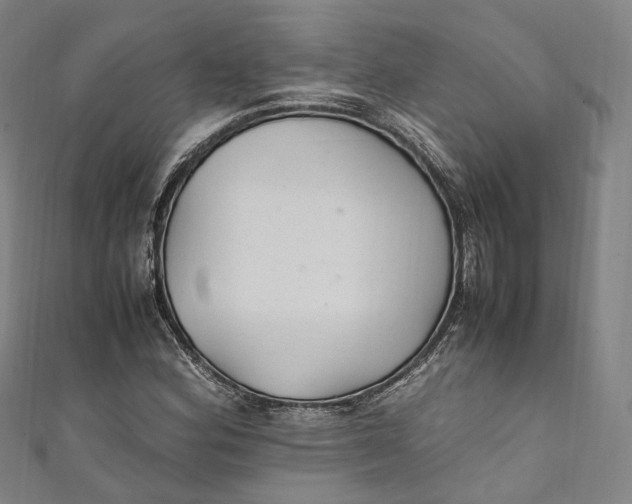 X0000111211164200907221145