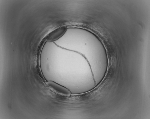 X0000111211165200907221145