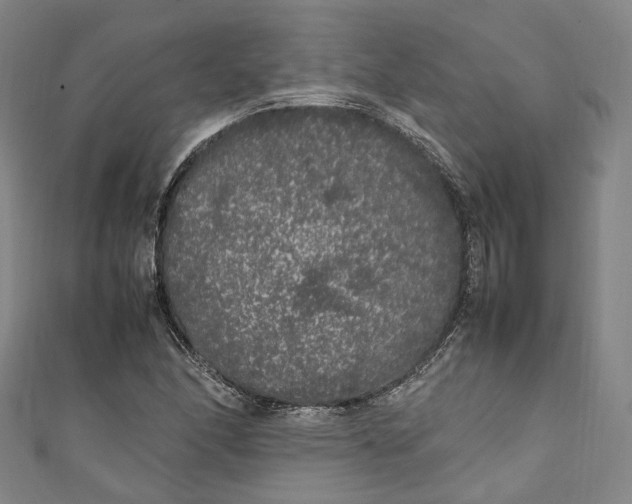 X0000111211166200907221144