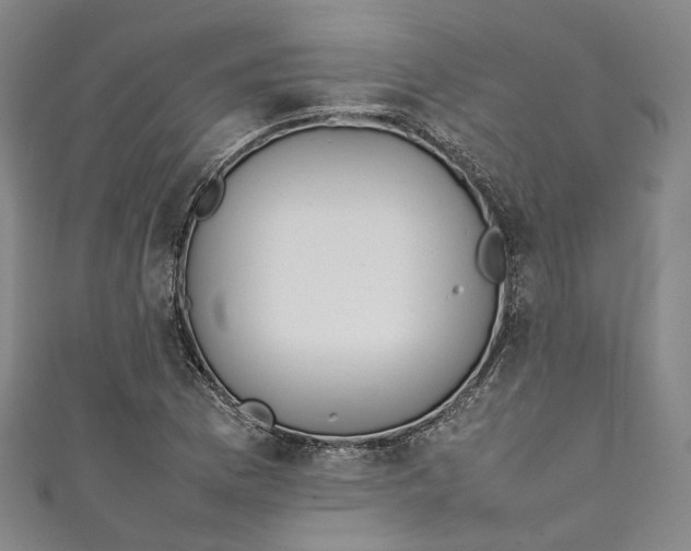 X0000111211169200907221144