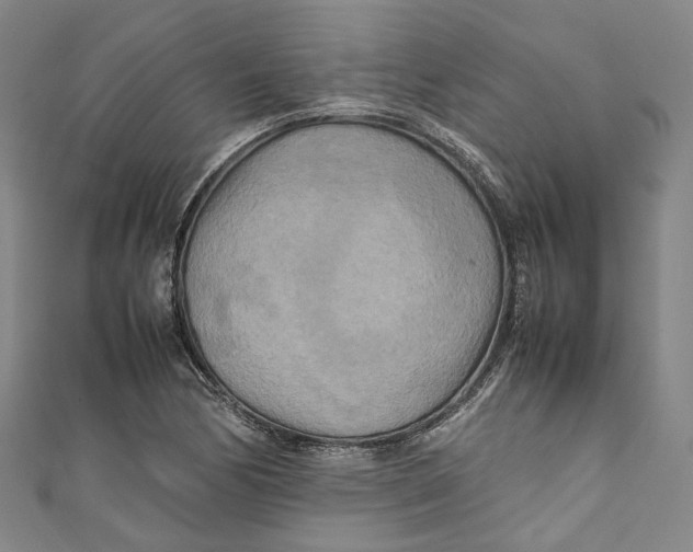 X0000111211170200907221144