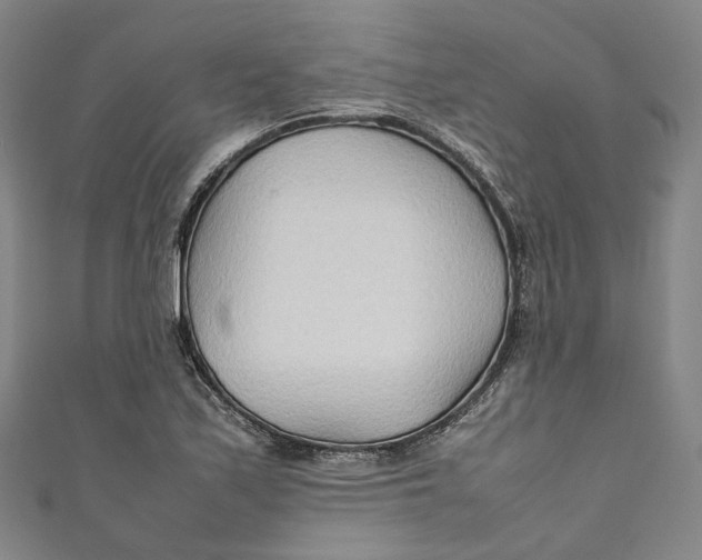 X0000111211171200907221144