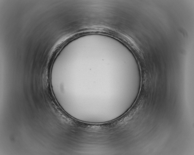 X0000111211172200907221144