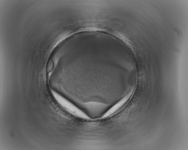 X0000111211173200907221144