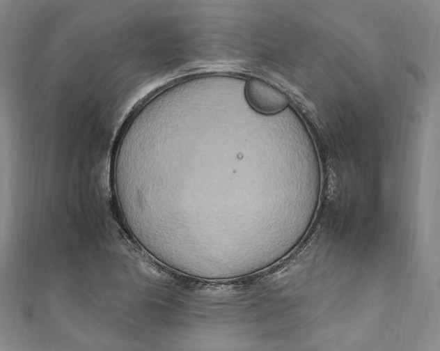 X0000111211174200907221144