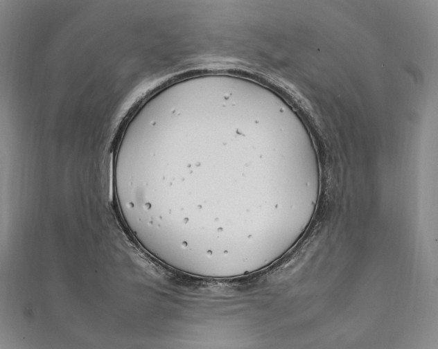 X0000111211175200907221144