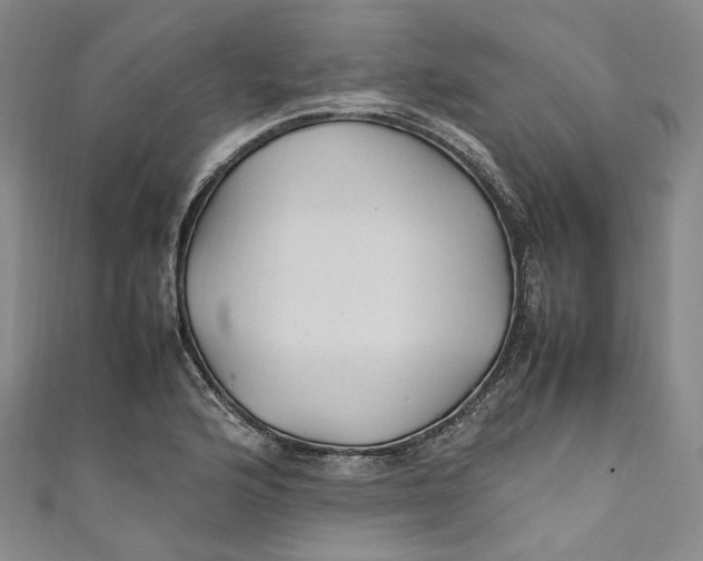 X0000111211176200907221144