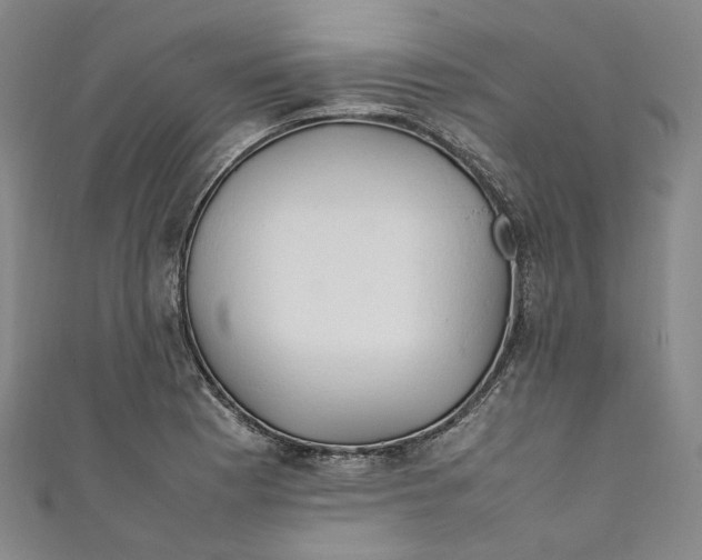 X0000111211177200907221144