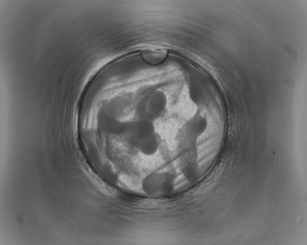 X0000111211179200907221144