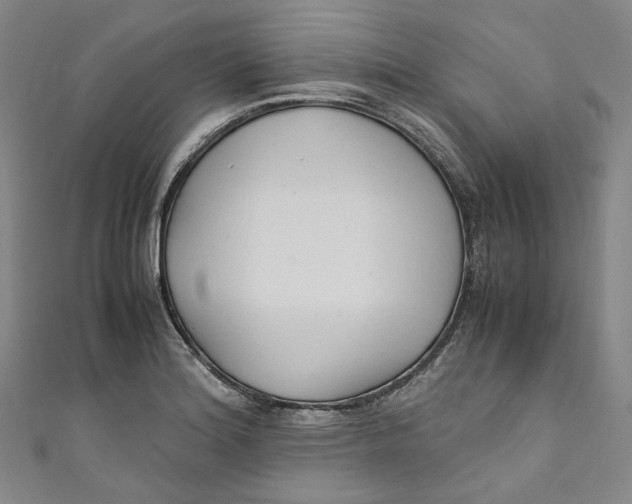 X0000111211180200907221144