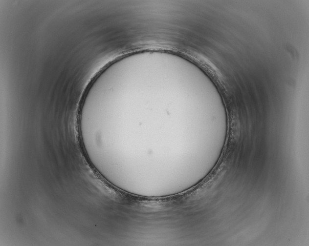 X0000111211182200907221144