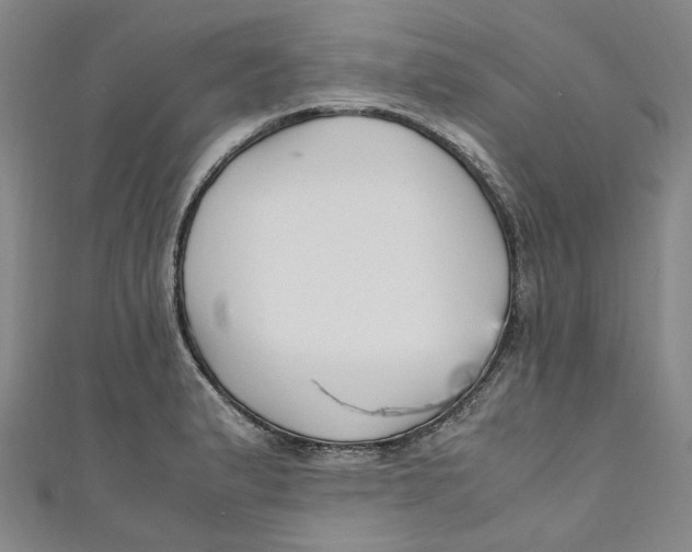 X0000111211183200907221144