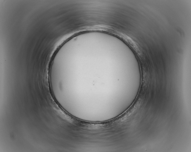 X0000111211184200907221144