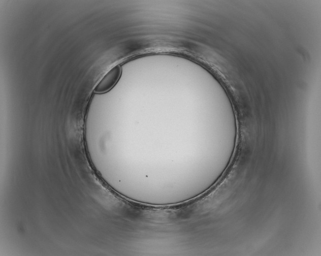 X0000111211185200907221144