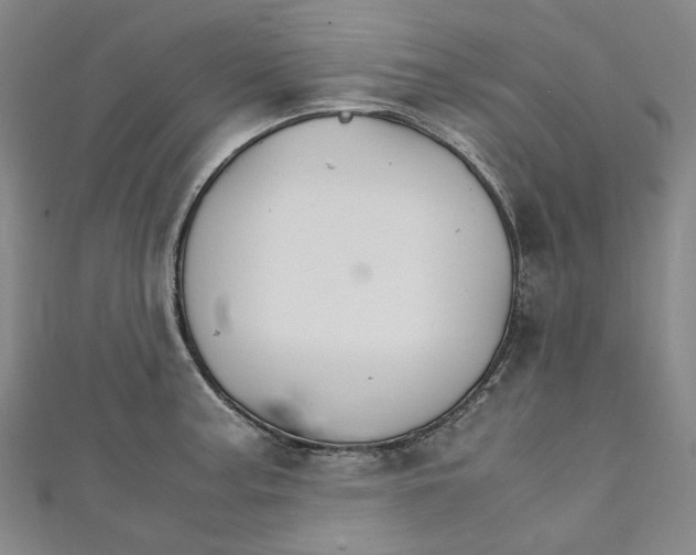 X0000111211187200907221144