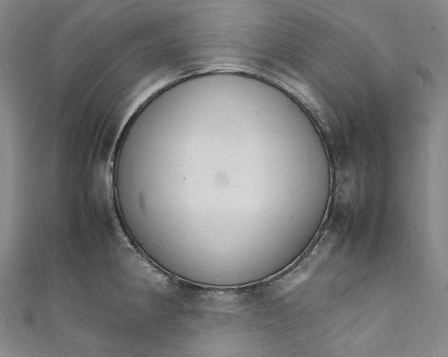 X0000111211190200907221144